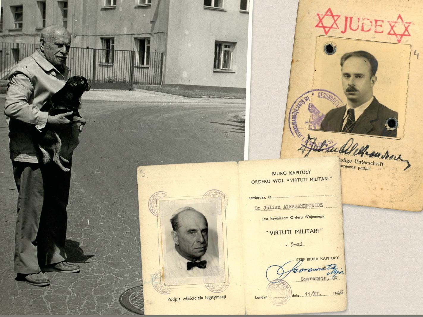 Prof. Julian Aleksandrowicz