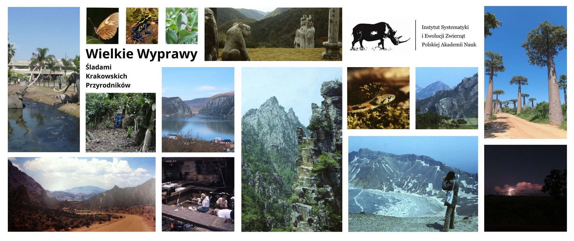 Wielkie Wyprawy w Muzeum Przyrodniczym