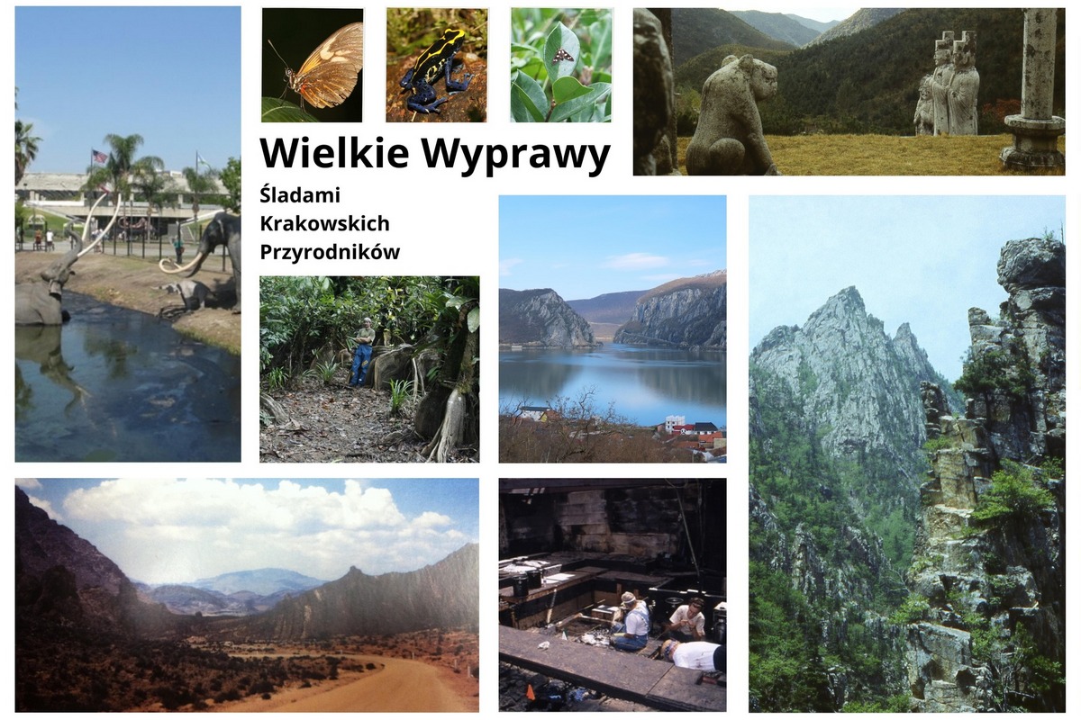 Wielkie Wyprawy w Muzeum Przyrodniczym