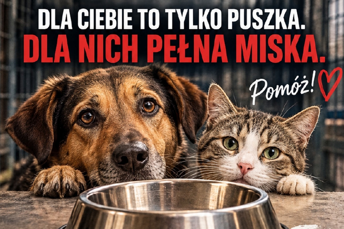 wycinek z plakatu akcji