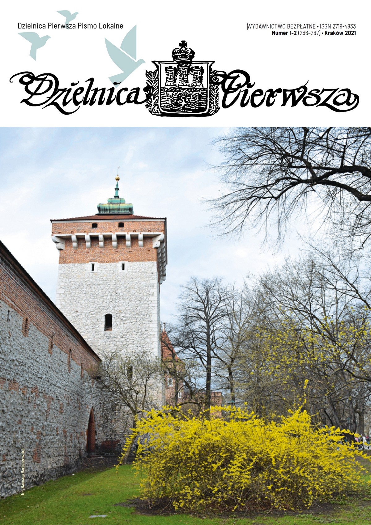 Okładka Informatora - link do pobrania pliku .pdf